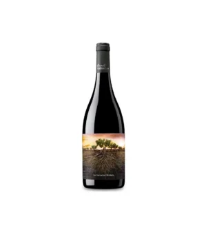 Proyecto Garnachas Olvidada